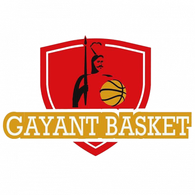 GAYANT BASKET
